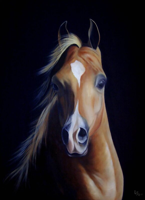 EL ARABE