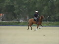 JUGANDO AL POLO