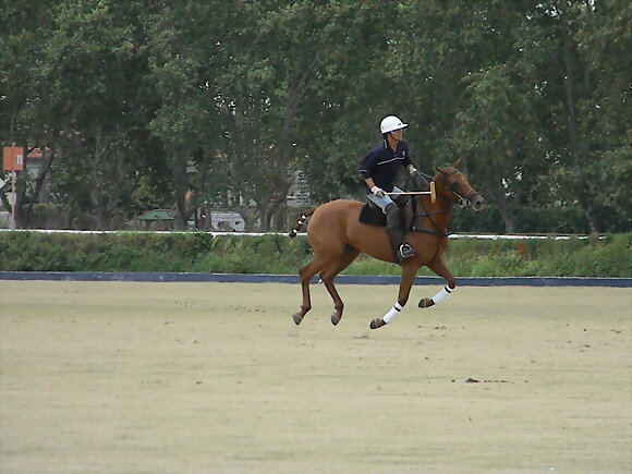 JUGANDO AL POLO