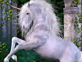 UNICORNIO