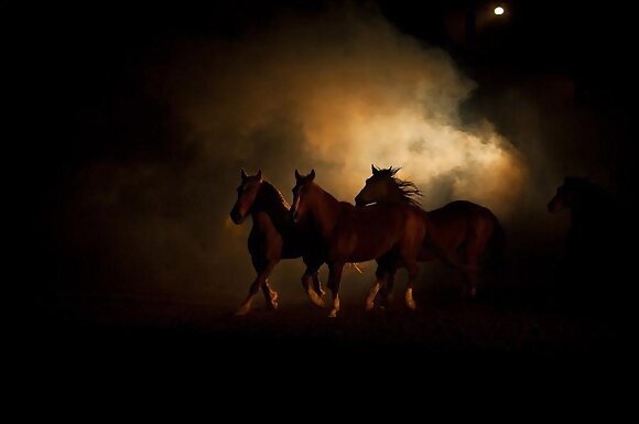 A CAMINAR EN LA NOCHE