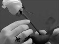 ////..LA BELLESA DE LAS COSAS SIMPLES...////