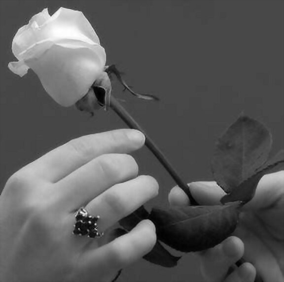////..LA BELLESA DE LAS COSAS SIMPLES...////