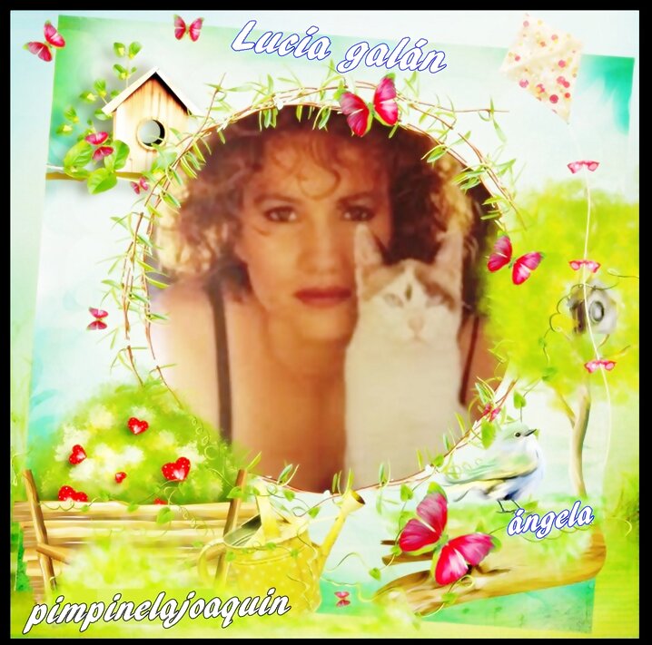 HOY LUCIA