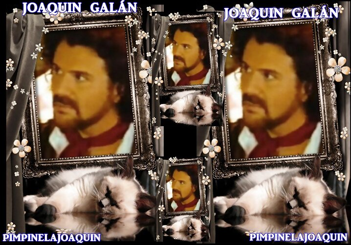 HOY JOAQUIN