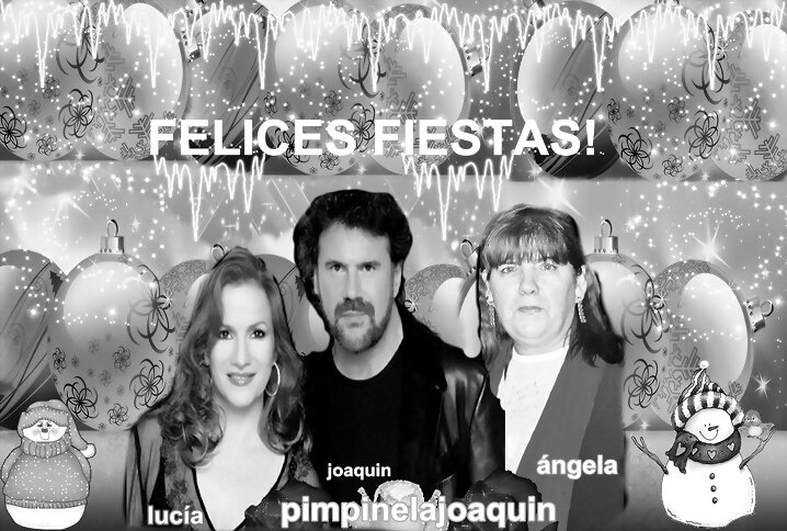 FELICES FIESTAS