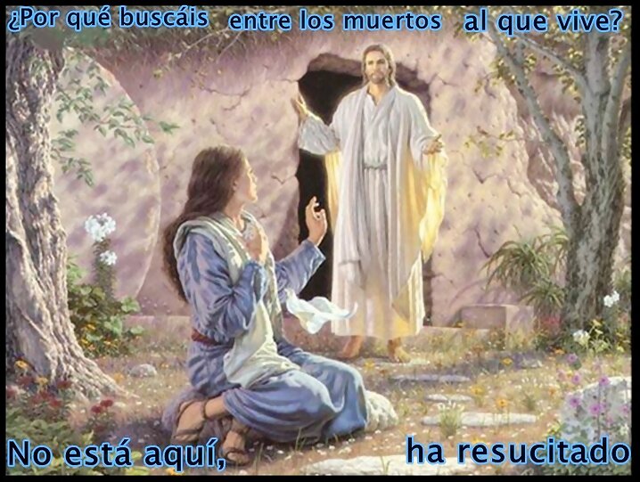 FELIZ DOMINGO