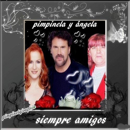 FELIZ MIÉRCOLES