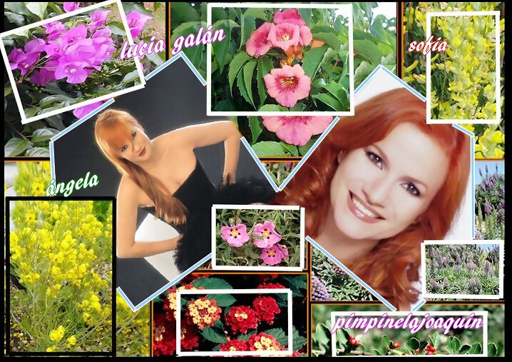 FELIZ MARTES.
