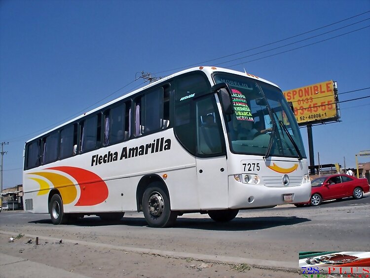 Flecha Amarilla Andare NG  GUADALAJARA
