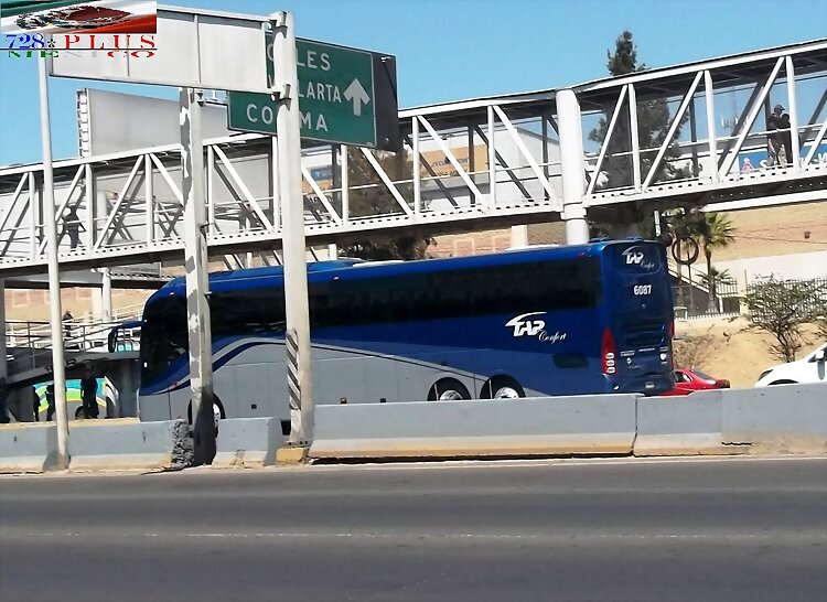 TAP Confort Volvo 9800  GUADALAJARA