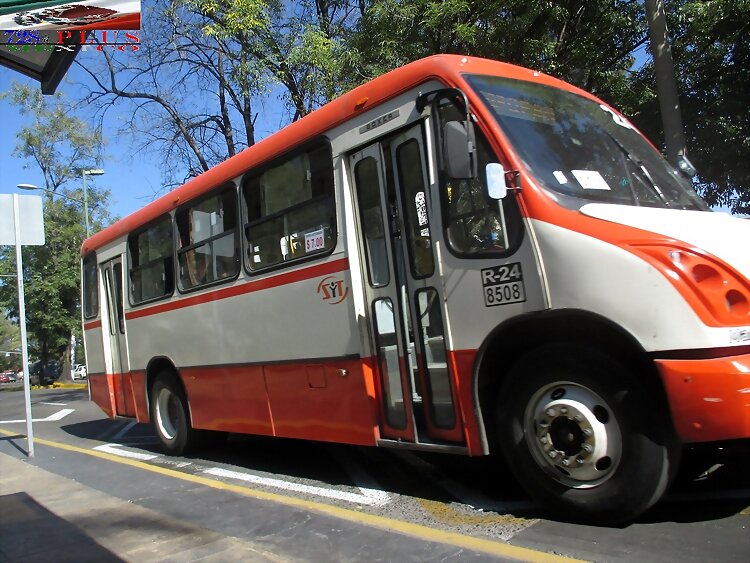 S y T Subrogado MP Boxer  R-24