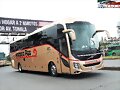 Primera Plus Volvo 9800 GUADALAJARA