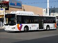 Quer&eacute;taro Bus Higger  QUER&Eacute;TARO