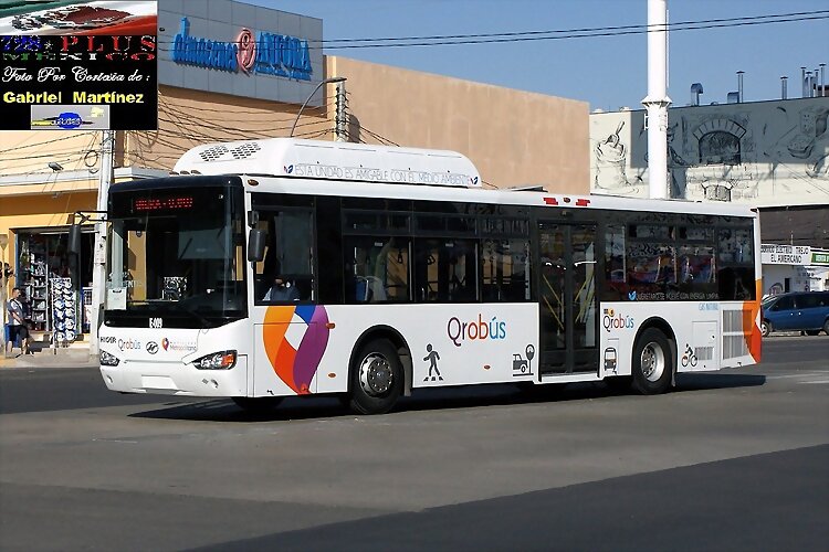 Querétaro Bus Higger  QUERÉTARO