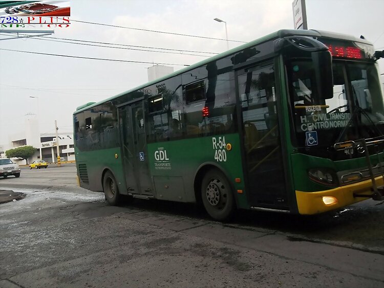 Alianza De Oro Wuzhoulong DISCAPACITADO R-54