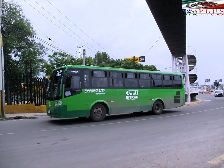 Sitran-AC Dina Linner R-C14 /175-A