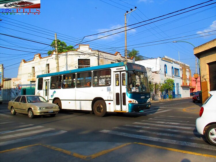 Alianza Cam De Jalisco MP Torino R 33-A