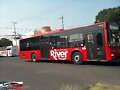 River Man Lions City R-186