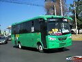 Mi Transporte-SyT NovaCapre Izuzu R-C98 /368 GUAD.