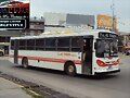 El Tigre La Favorita/MB TUCUMAN,ARG.