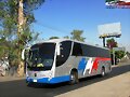 Platino Expresso Beccar B-330  GUADALAJARA