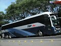 TAP Plus Volvo 9800 GUADALAJARA