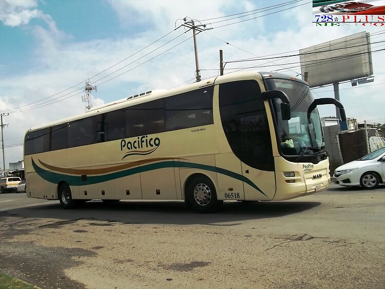 Transp. Del Pacífico Man Lion´s Mex GUIADALAJARA