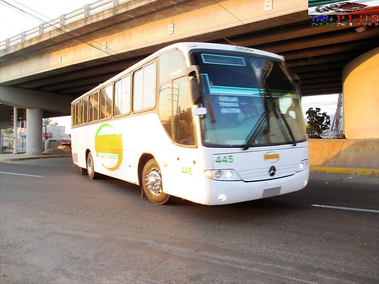 Quik Autotransportes Andare NG GUADALAJARA