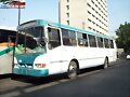 Alianza Cam Jalisco San Roberto   R-59