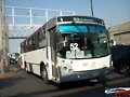 Movilidad Coorporativa Cosmopolitan R-52