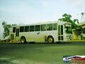L&iacute;nea Platino1ra Clase Magno ML3 R-701 GUADALAJARA