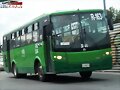 S y T Dina Linner R-163 GUADALAJARA