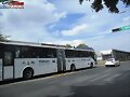 Mi Macro Calzada Volvo 7300 Repotenc. GUADALAJARA