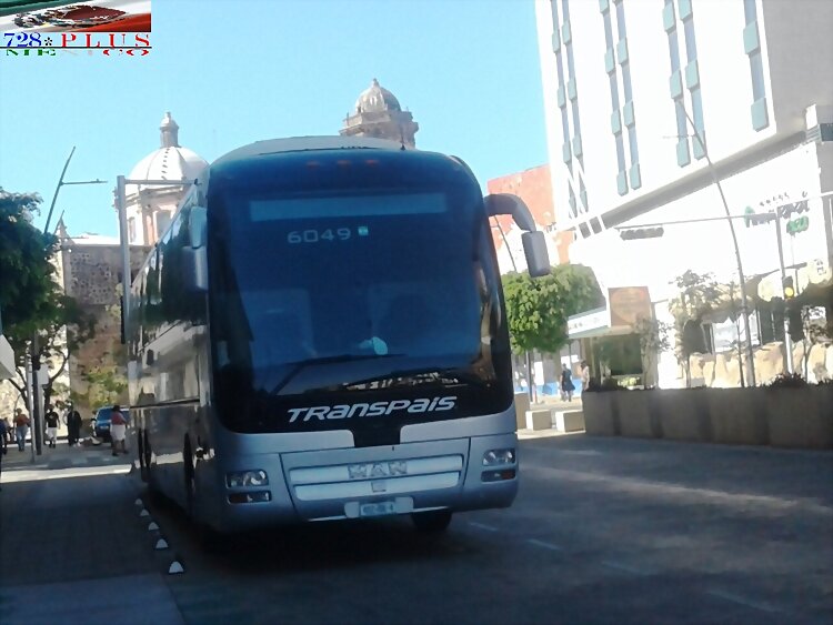 Transpaís Man Lions Coach modif. GUADALAJARA