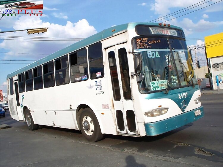 Alianza  Cam Jalisco Magno MC 3   R 50-A