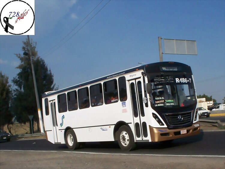 * + GUADALAJARA +*