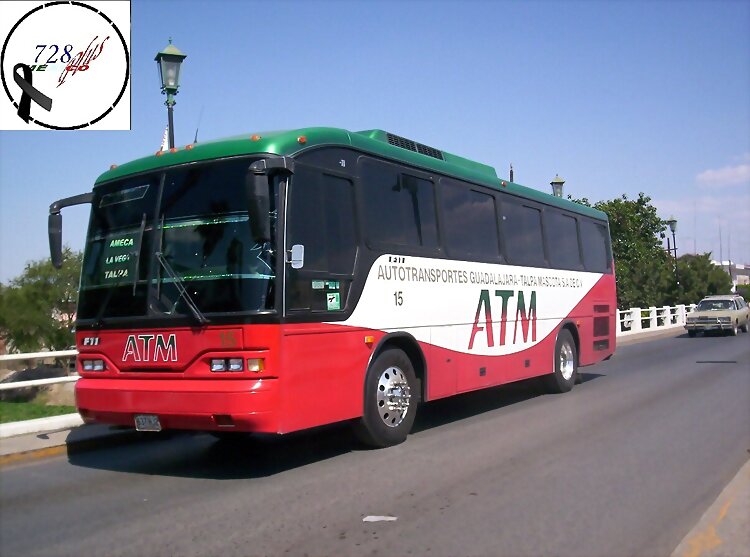 **VIVA MÉXICO .-AMECA-.**