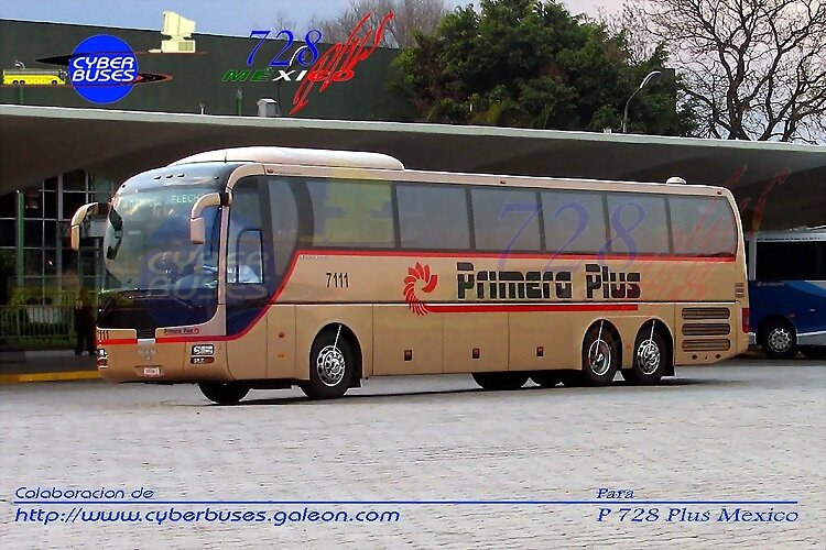 Primera Plus  Man Lion´s  Coach   MÉXICO DF