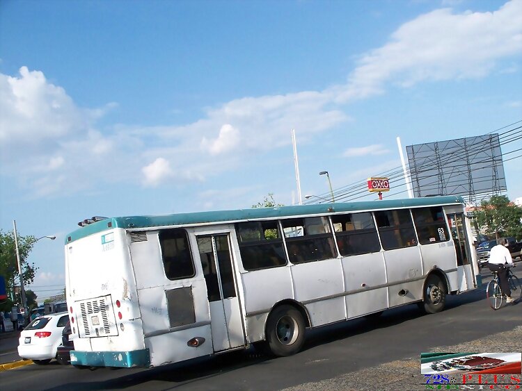 Alianza Cam Jalisco  San Roberto  MB   R-63