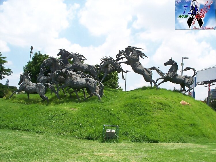 GLORIETA DE LA ESTAMPIDA