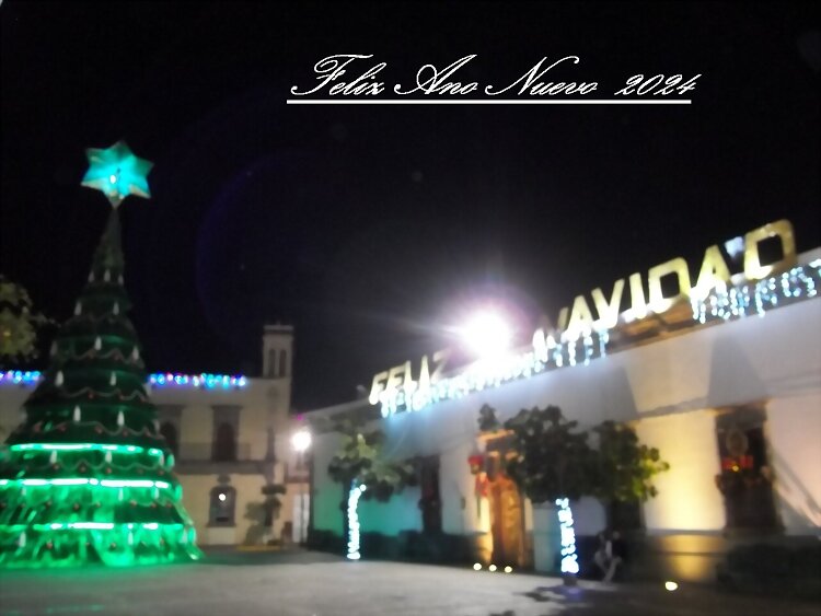 ** FELIZ AÑO NUEVO**