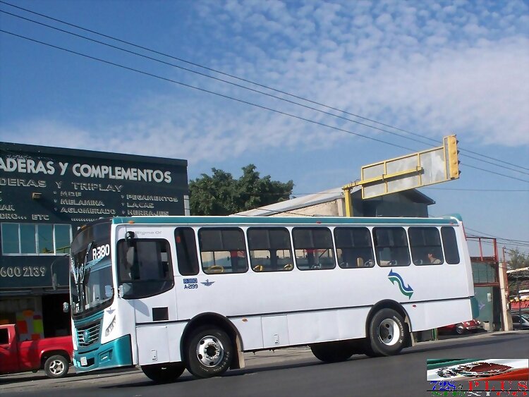 Alianza Cam Guadalajara  Sigma Of   R-380