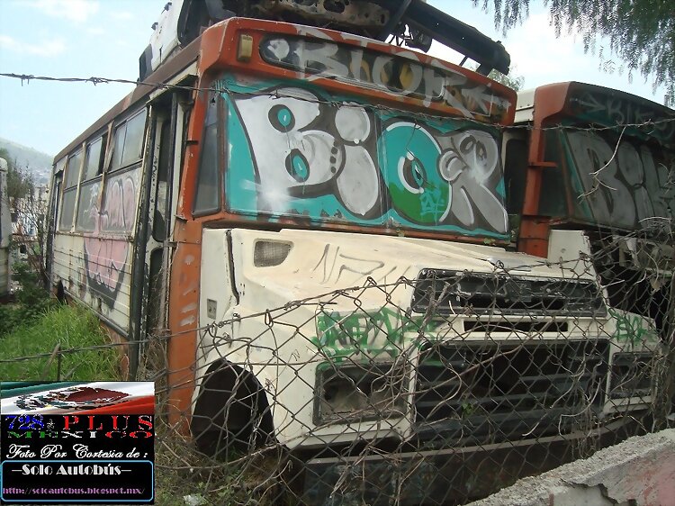 Servicios y Transportes Dina Scorpio  MÉXICO DF