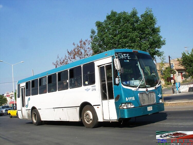 Alianza Cam Jalisco  Magno ???  R 50-A