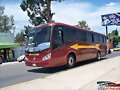 Flecha Amarilla  MP Alliado  GUADALAJARA