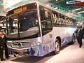 Marcopolo Boxer Of    -MB-