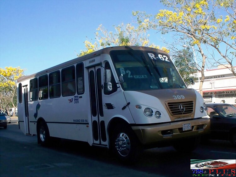 Transp Vang de Occidente Magno Semi-Sport  R-62