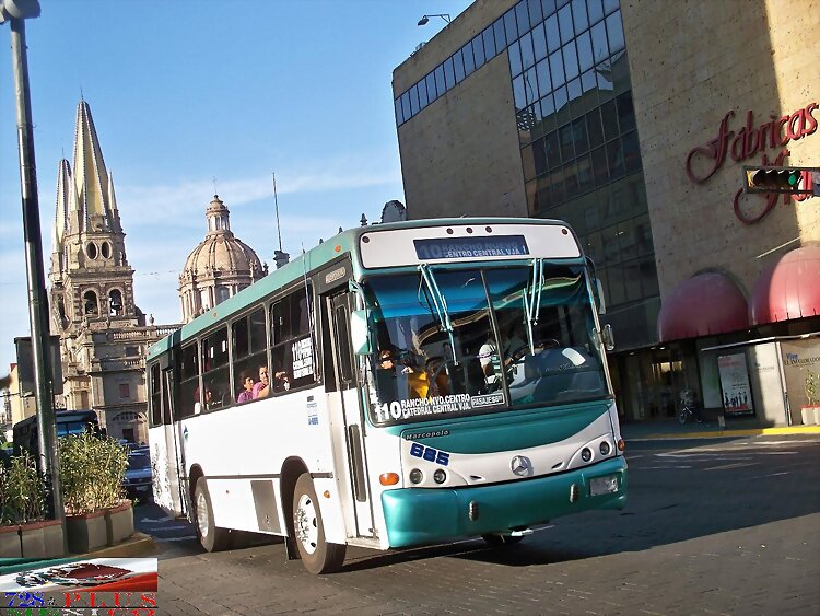 Alianza Cam Jalisco MP Torino  R-110