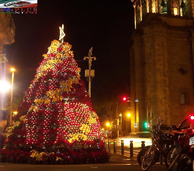 NAVIDAD 2013